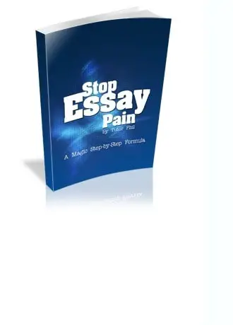 Stop Essay Pain ebook