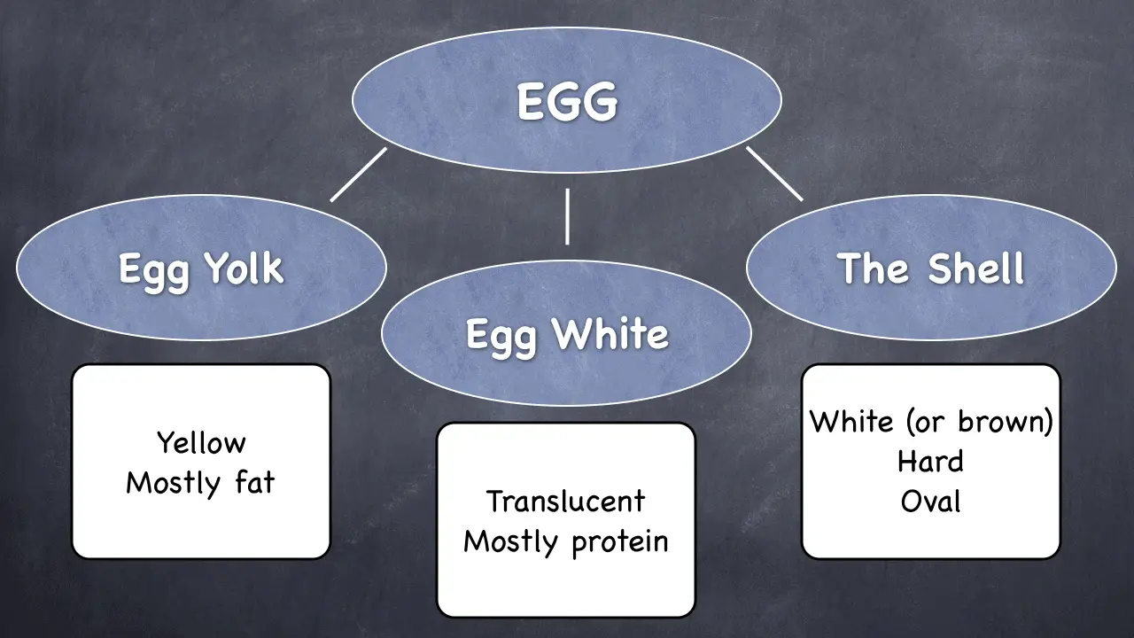 how to write an essay about teaching